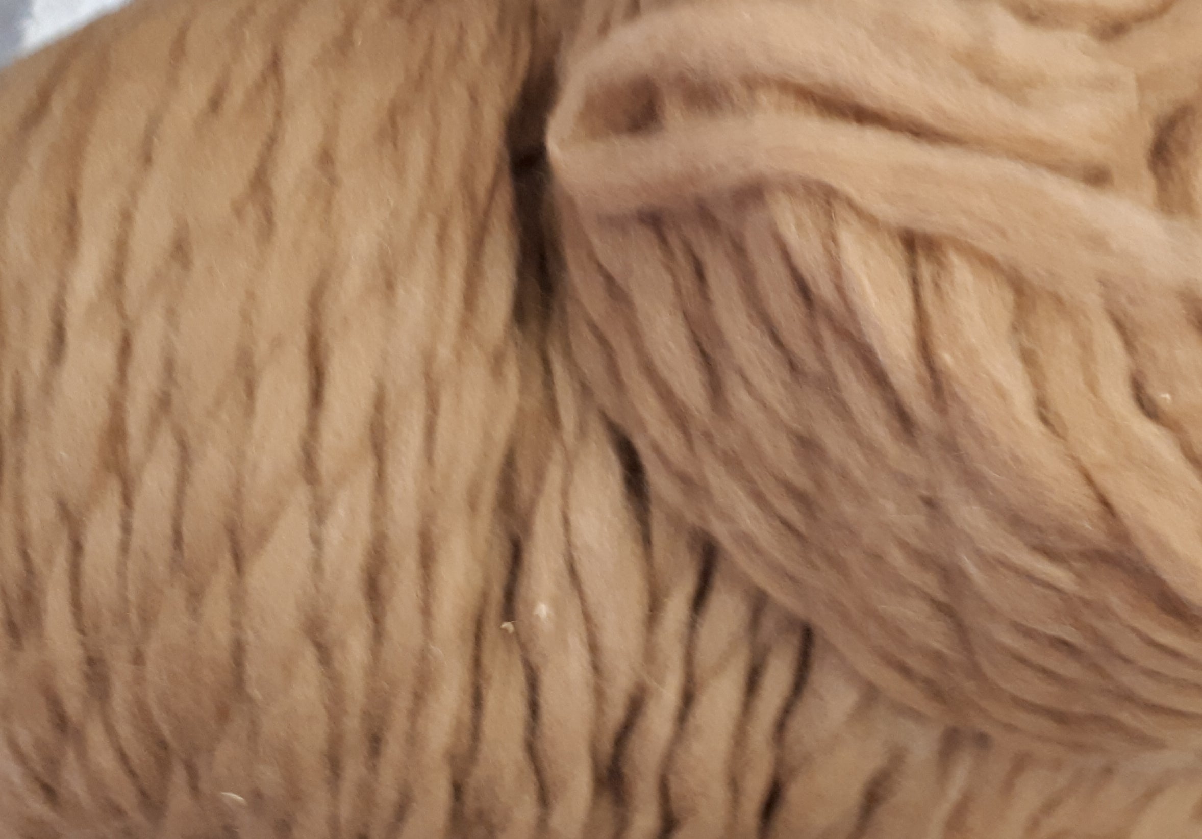 Alpaca Roving